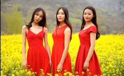 吴奇隆刘涛吻戏